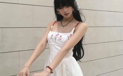 西北军军V2广东仔106G